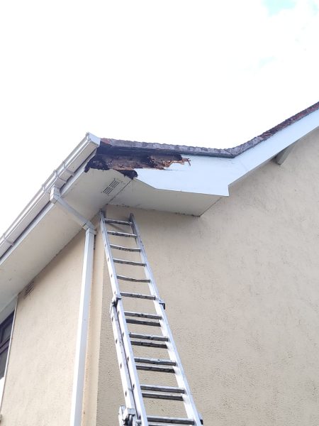 Roof Repair Service in Urmston